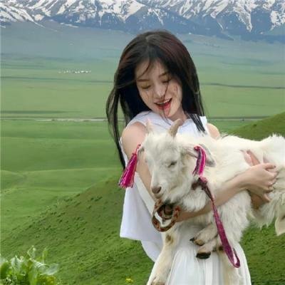 春满乾坤福满门