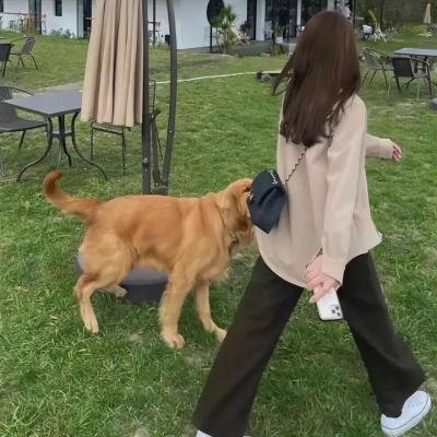 秋之白华